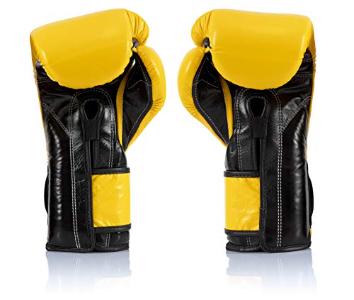 Fairtex Heavy Hitter BGV9 Boxing Gloves - Mexican Style