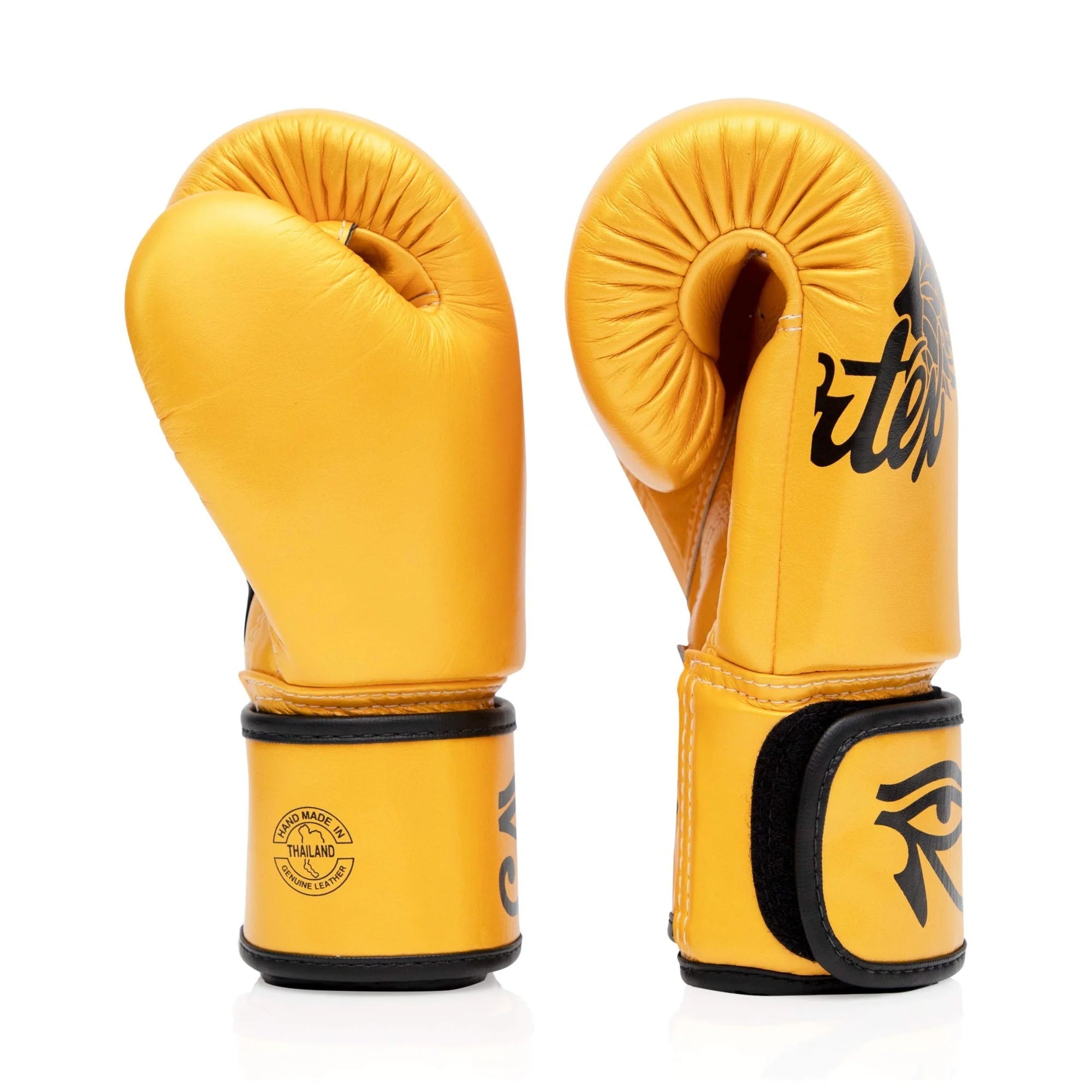 Fairtex BGV1 Falcon Boxing Gloves