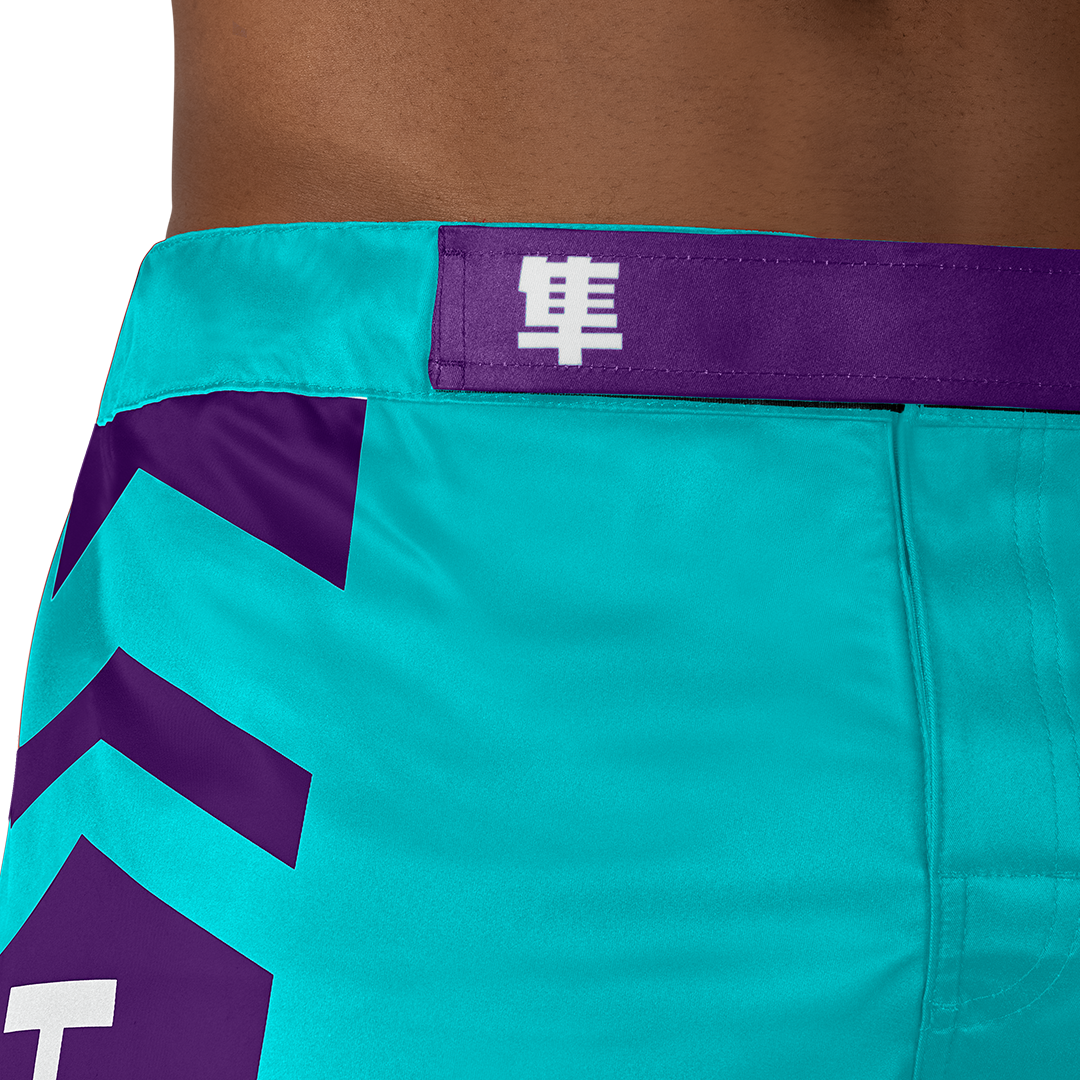 Hayabusa Icon MMA Shorts