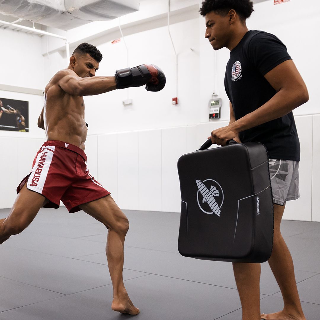 Hayabusa PTS3 Kick Shield